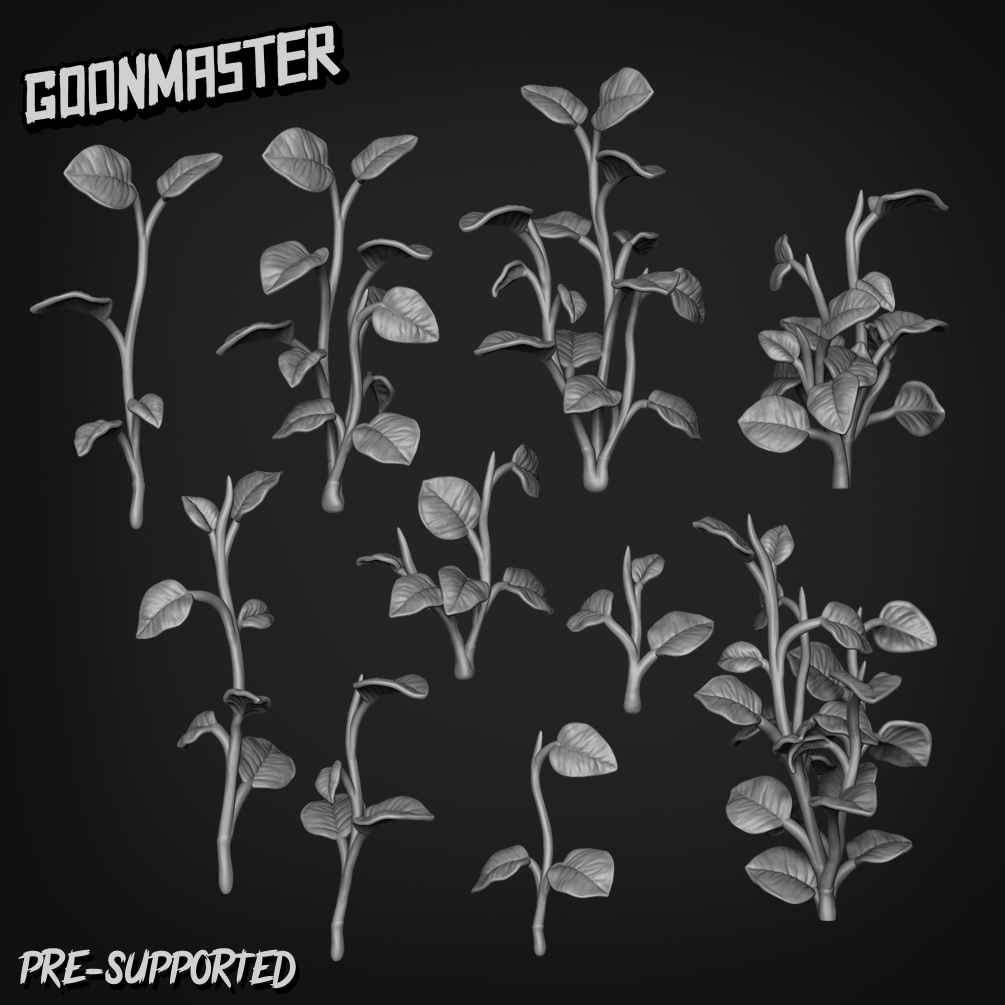 Basing Bits 197 - Epipremnum Aureum